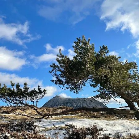 Charming Downtown Appartamento *