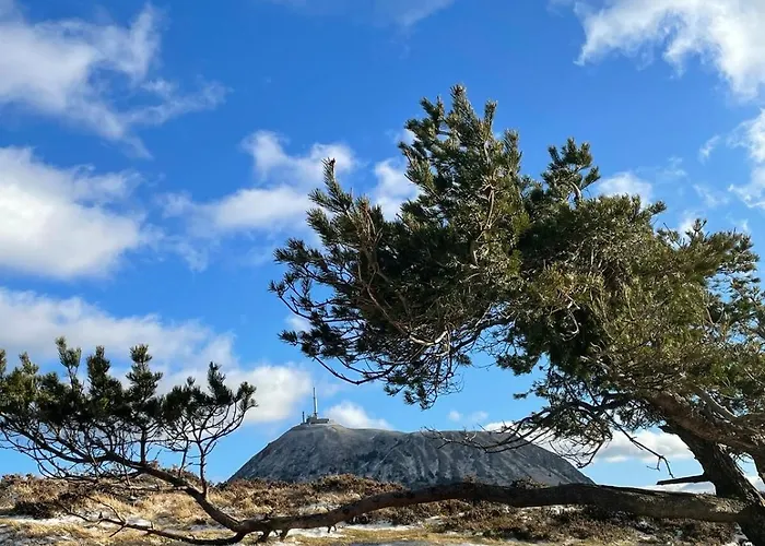 Charming Downtown Appartement *